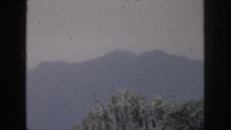 1959 Hawaii home-movie still with distant foggy mountains, low tree crowns, pale overcast sky, and dark vertical framing at the edges.