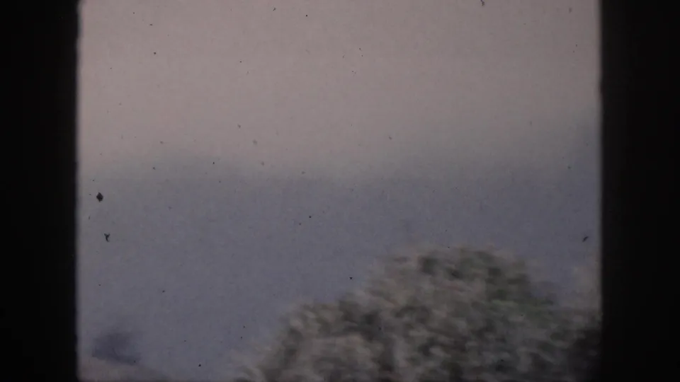1959 Hawaii landscape still with layered blue-gray mountains, blurred foreground foliage, pale sky, and dark window-like framing.