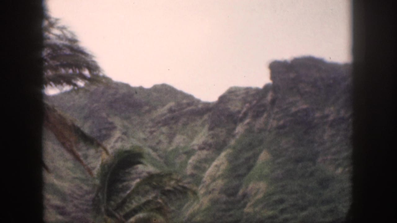 1959 Hawaii 8mm frame showing wind-bent palm trees against steep green mountains and a pale sky.