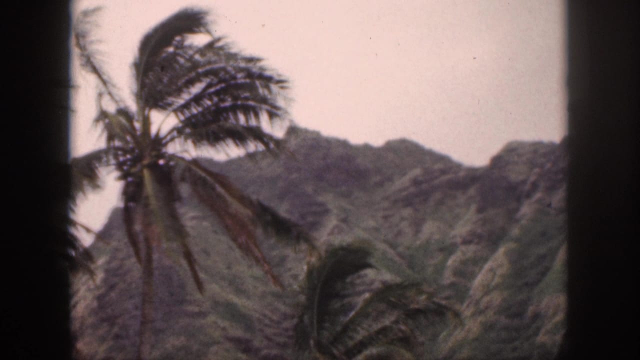A palm tree leans in wind in front of mountain ridges.