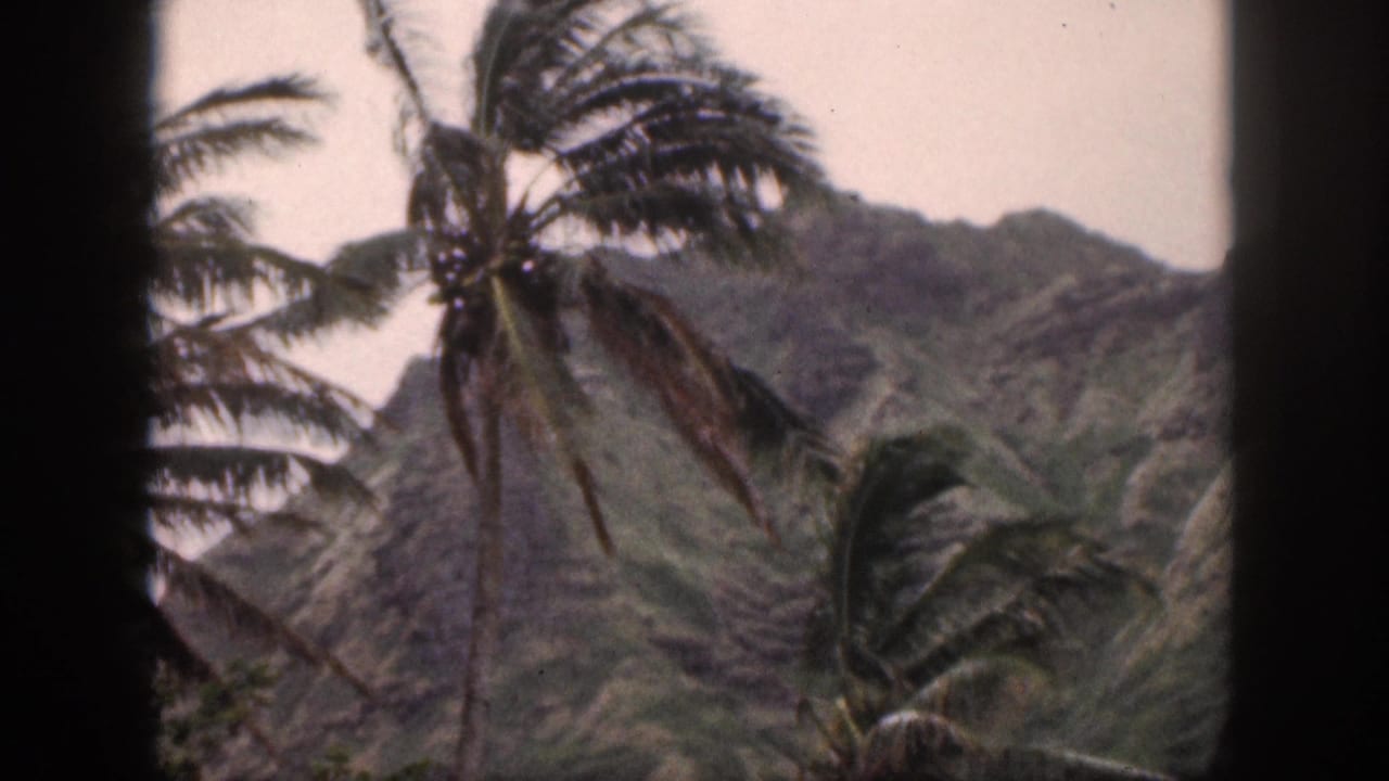 1959 Hawaii 8mm frame showing palms in strong breeze with steep green mountains beyond a dark framed foreground.