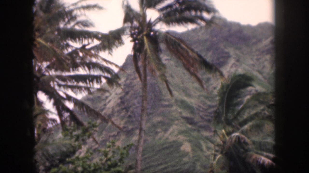 1959 Hawaii home-movie frame of palm fronds moving across a rugged green mountain view under a pale sky.