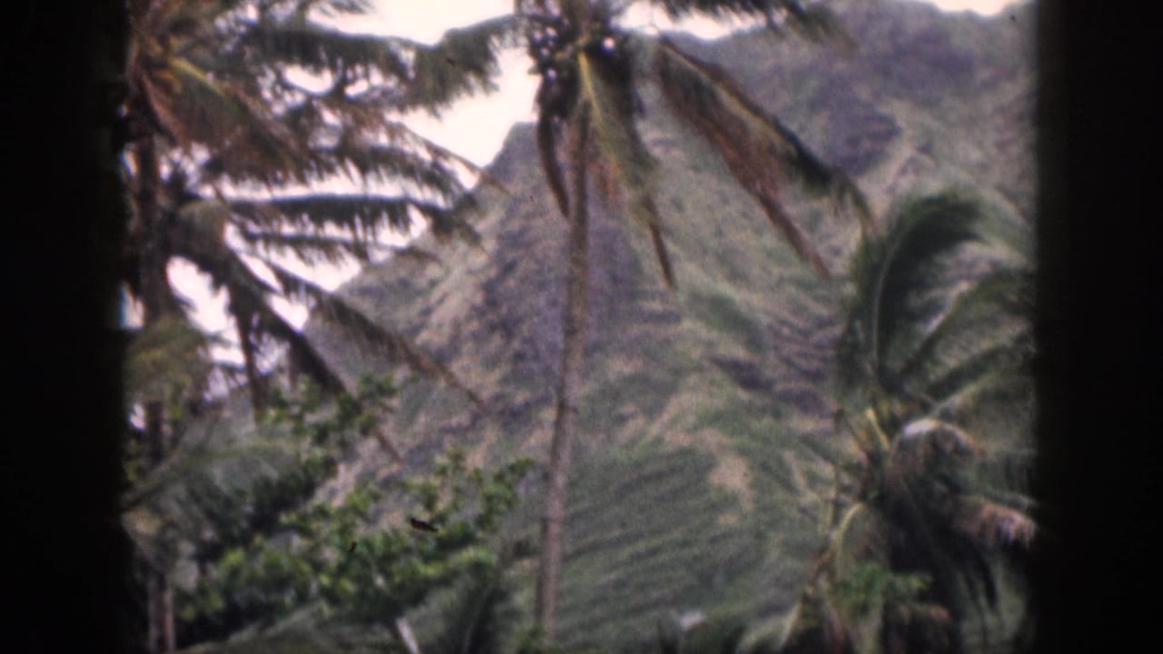 1959 Hawaii 8mm frame showing palm trees and dense foliage against rugged mountains, partly bordered by dark frame edges.