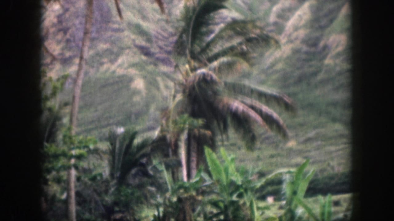 1959 Hawaii 8mm frame showing foreground tropical plants, palms, and rugged hills seen through dark vertical framing.