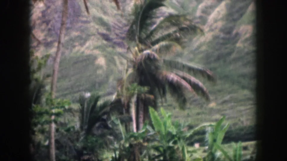 1959 Hawaii 8mm frame showing foreground tropical plants, palms, and rugged hills seen through dark vertical framing.