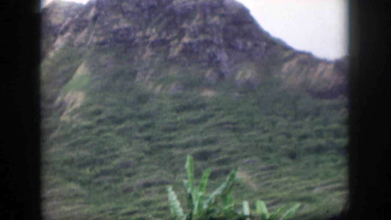 Green mountain slope with rocky peak and tropical plants below.