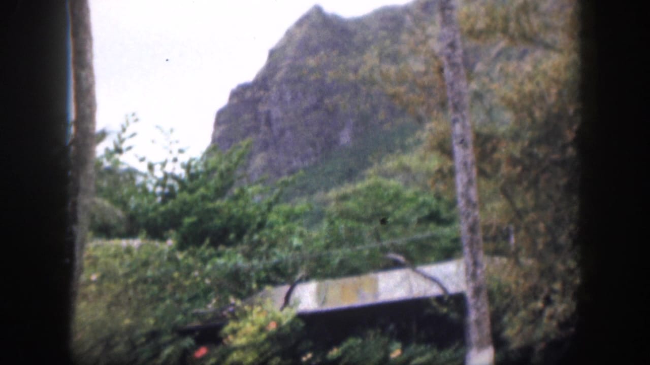 1959 Hawaii frame showing a rugged green mountain behind palms, shrubs, and the roofline of a roadside structure.