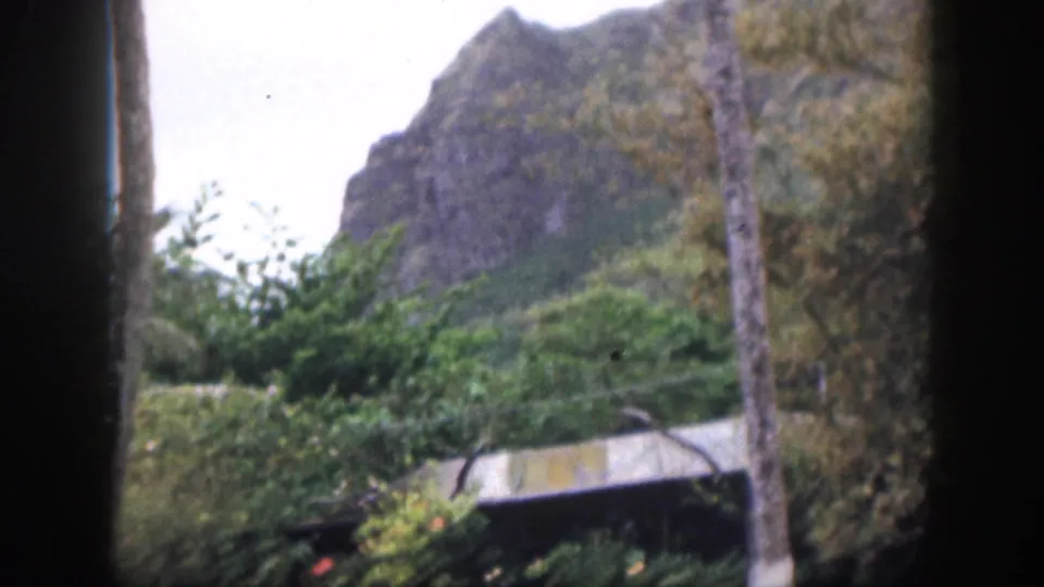 1959 Hawaii frame showing a rugged green mountain behind palms, shrubs, and the roofline of a roadside structure.