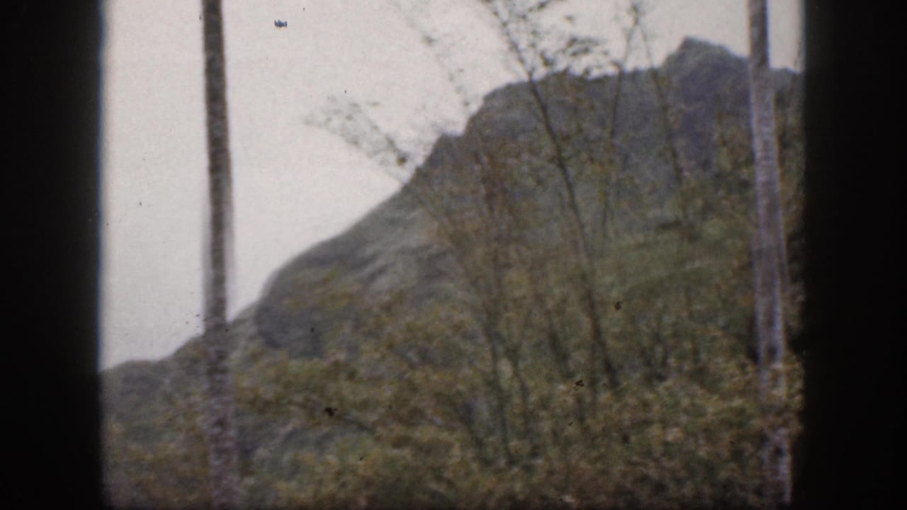 1959 Hawaii 8mm frame with a rocky mountain peak seen through sparse tree branches and foreground trunks.