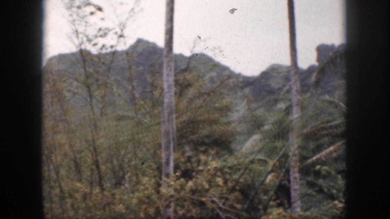 1959 Hawaii 8mm view of windblown trees and a rocky mountain ridge framed by dark vertical bars.