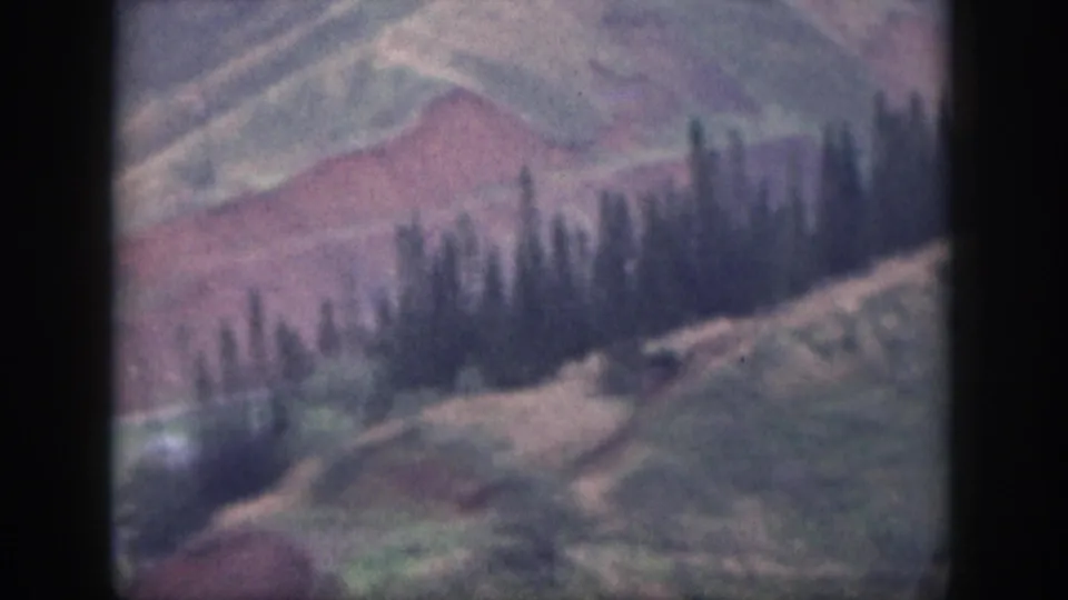 Oahu 1959 home-movie frame showing rolling upland terrain, dark tree growth, and softened mountain ridges.