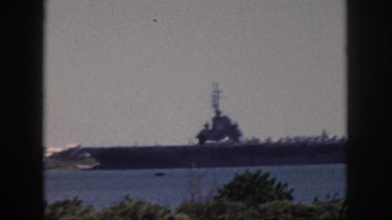 Large ship silhouette beyond water with foliage and window frame in foreground.
