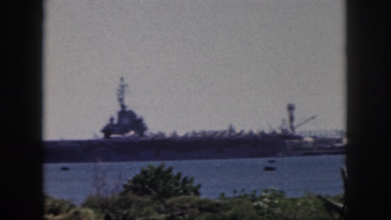 Distant naval vessel with superstructure on calm water, seen beyond shoreline plants.