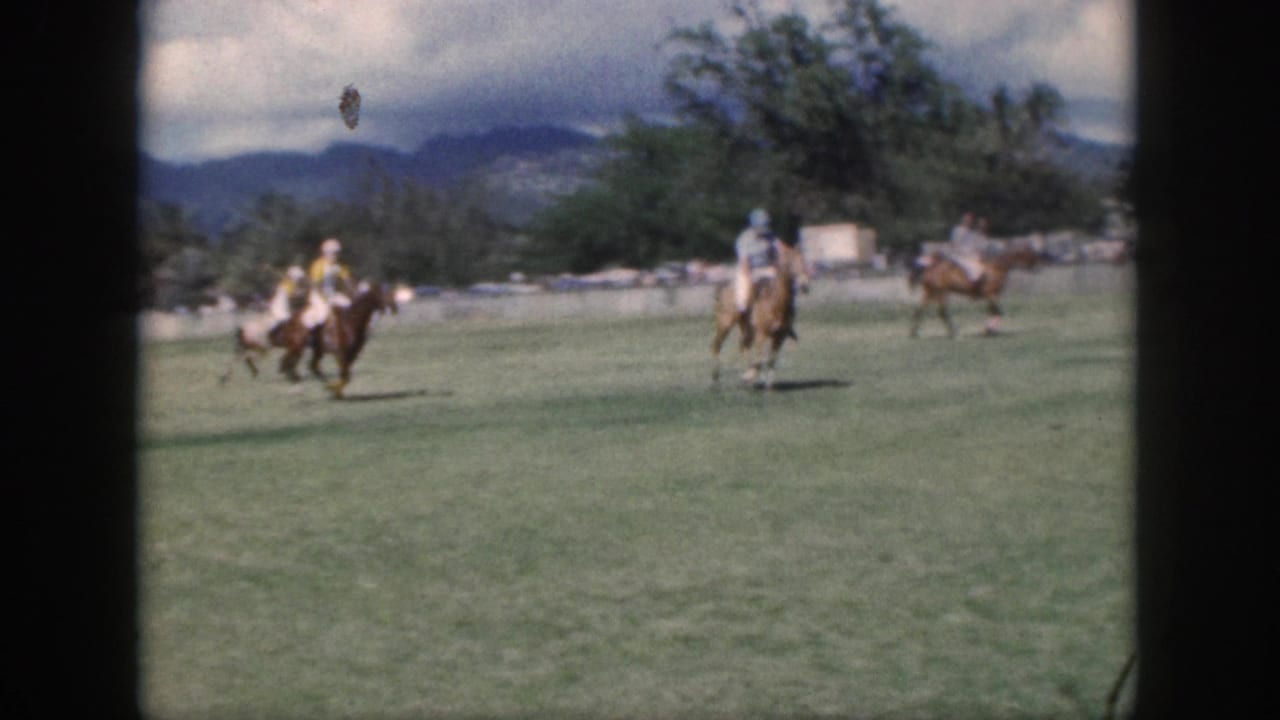 Several polo riders on horseback cross the field under a cloudy sky.