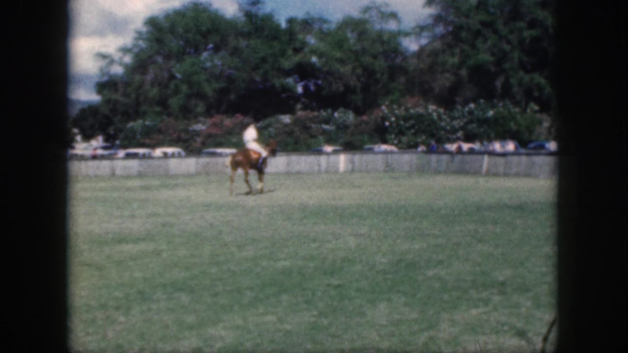 In Oahu, Hawaii home-movie footage from 1959, a rider in a light shirt crosses a broad green field on a brown horse.