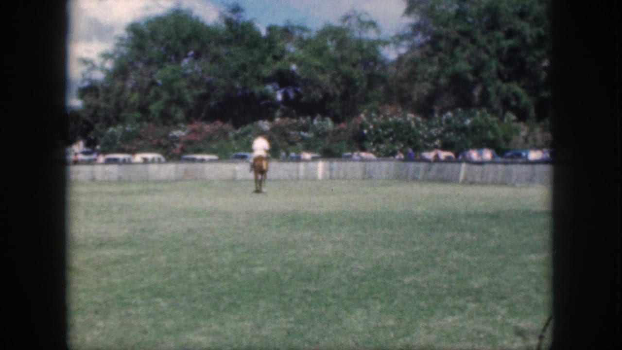 A horseback rider is seen from behind in the 1959 Oahu field, with vintage cars and leafy trees along the far edge.