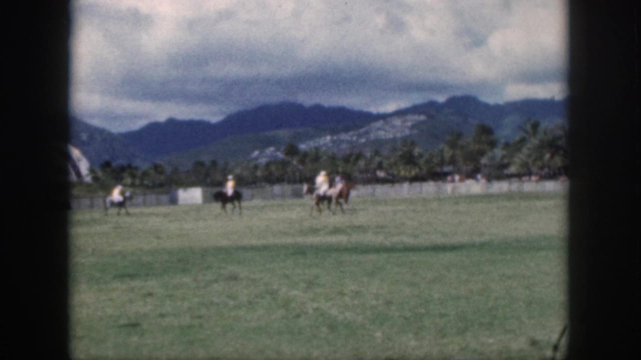 Distant polo riders on a grass field with mountains and palms behind them.