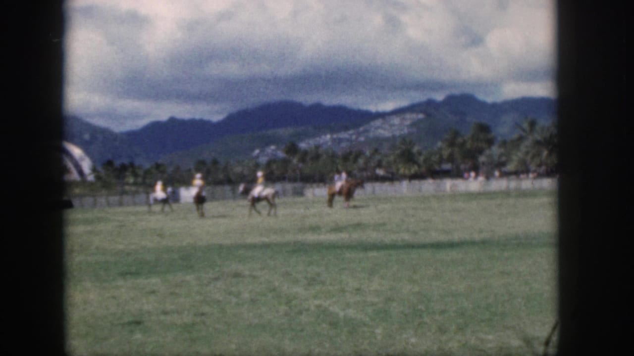 Mounted players spread across a green field with palms and mountains in the distance.