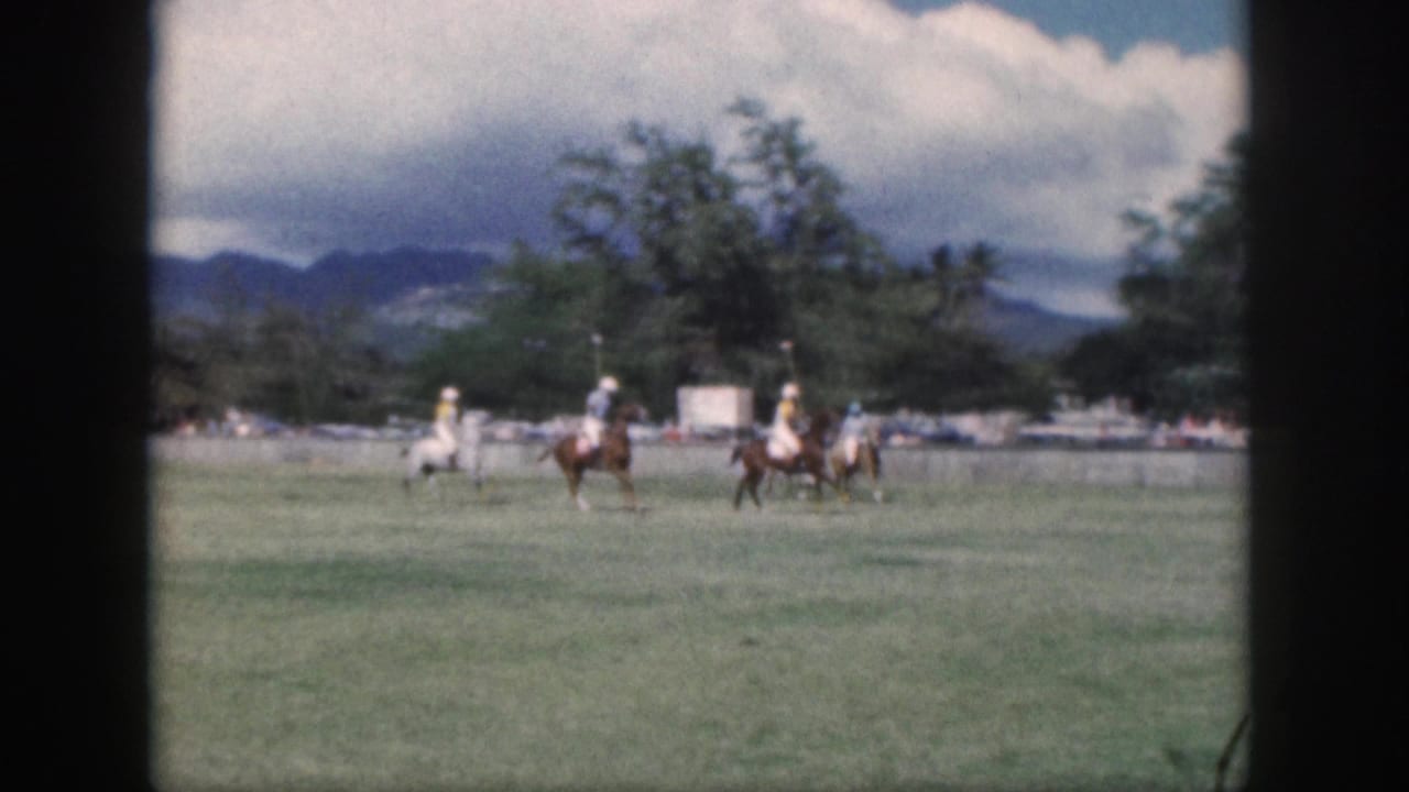 Mounted polo players move across an open field near a low wall and tree line.
