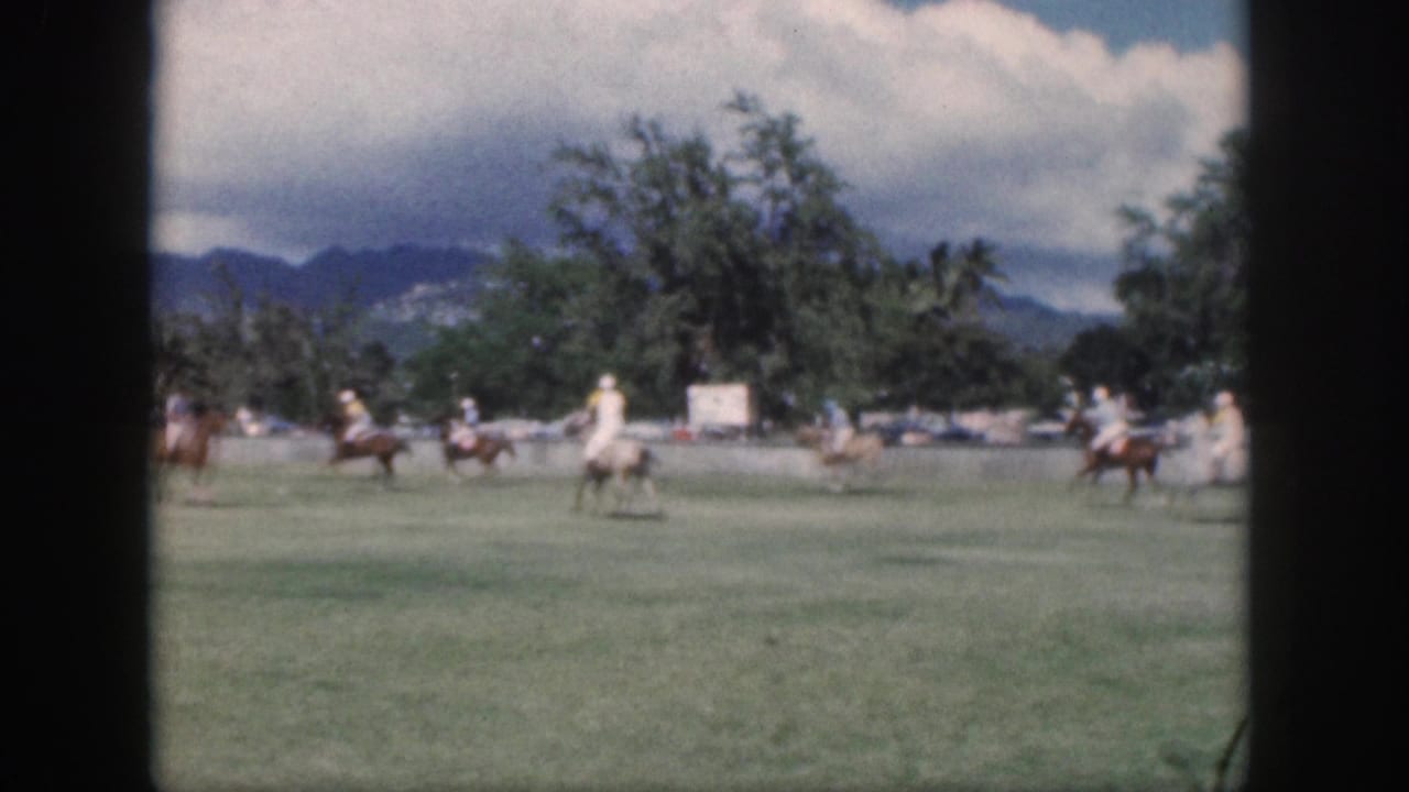 Several polo riders move across a wide field with trees and mountains in the background.