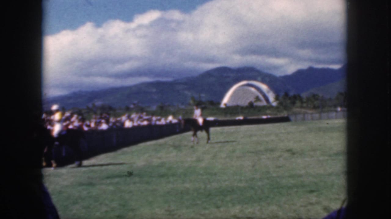 Polo rider on a grassy field with spectators, mountains, clouds, and a white arch in the distance.