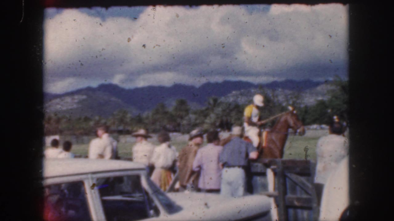 Spectators stand near a white car as a polo player rides along the field.