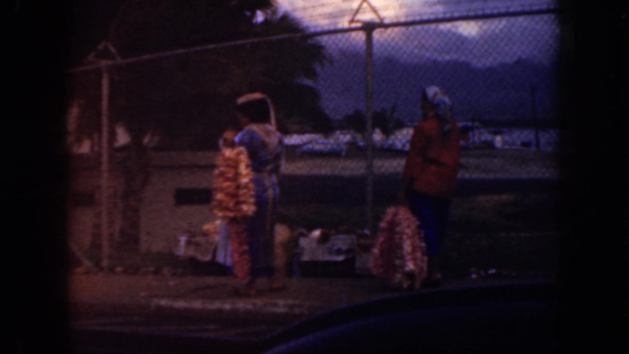 Two women remain by the fence near hanging or stacked leis, viewed through a dark frame edge.