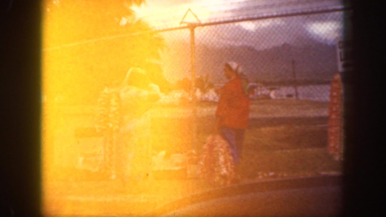 Bright orange lens flare washes over two women and leis near a fence by the water.