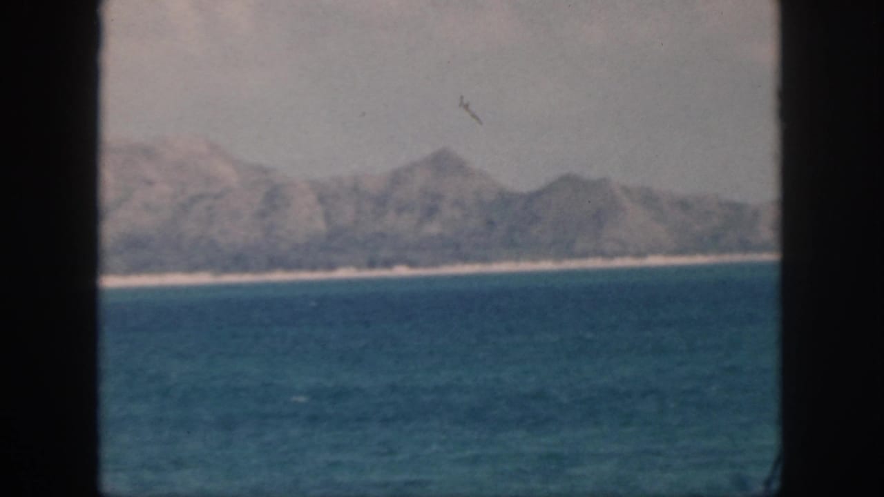 Calm ocean and distant mountains with a small bird shape in the sky.