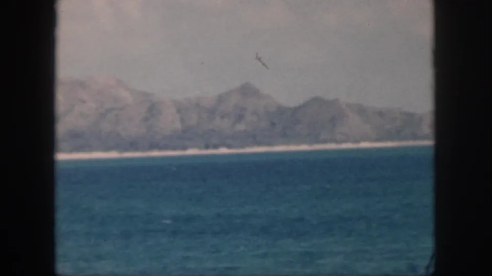 1959 Oahu coastal view with blue water, a thin shore, hazy mountains, and a small bird silhouette above the ridge.