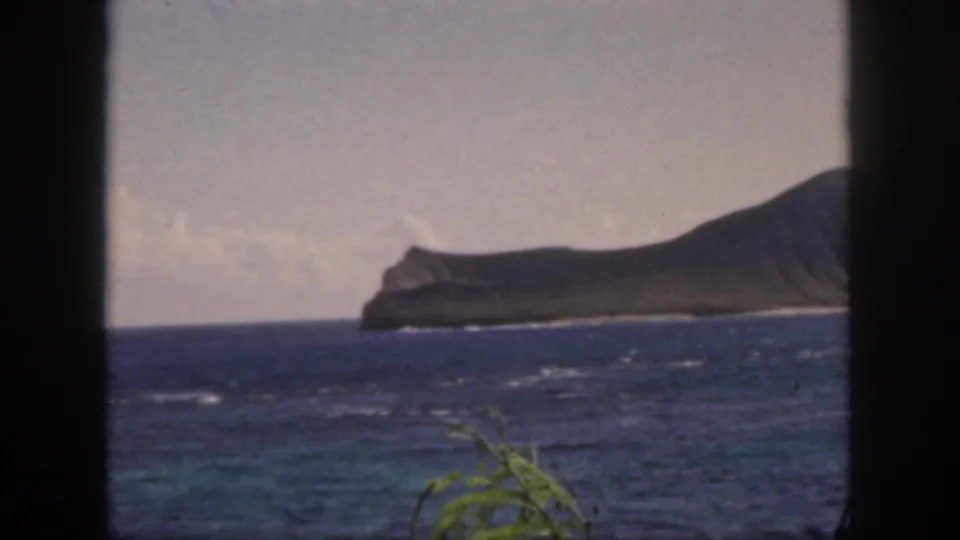 A slightly lower 8mm frame shows the island's low coastline across choppy water, with a small green plant in the foreground.