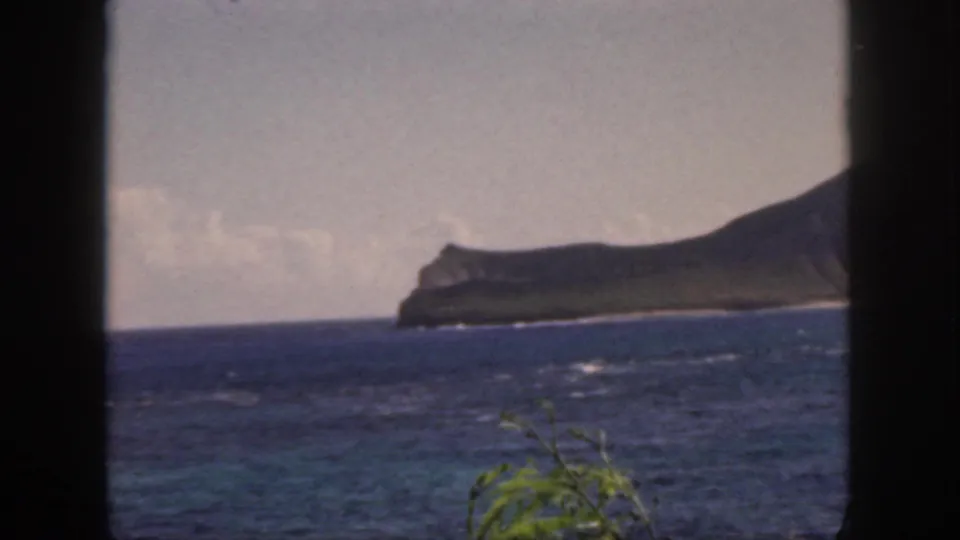 The final 1959 Oahu frame shows the distant island shoreline across wind-marked ocean, with a small plant near the lower edge.