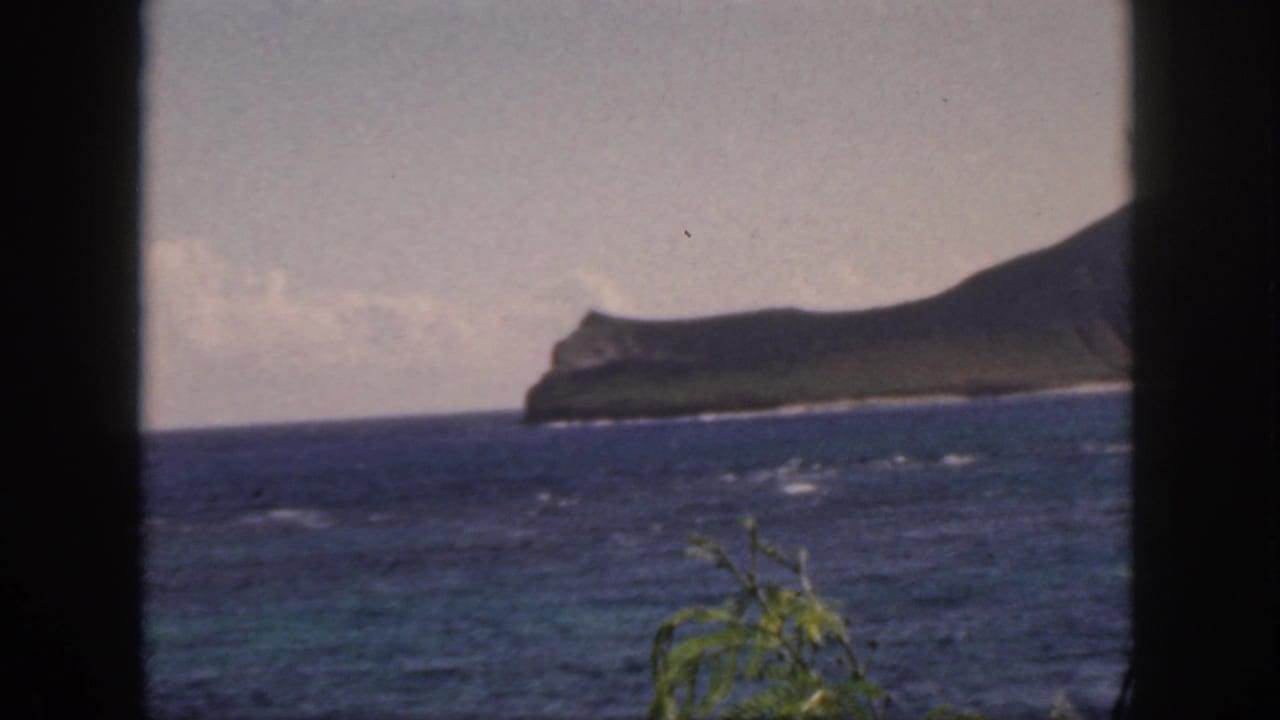 1959 Oahu coastal view with choppy blue water, a green headland on the horizon, hazy sky, and windblown foliage near the lower edge.