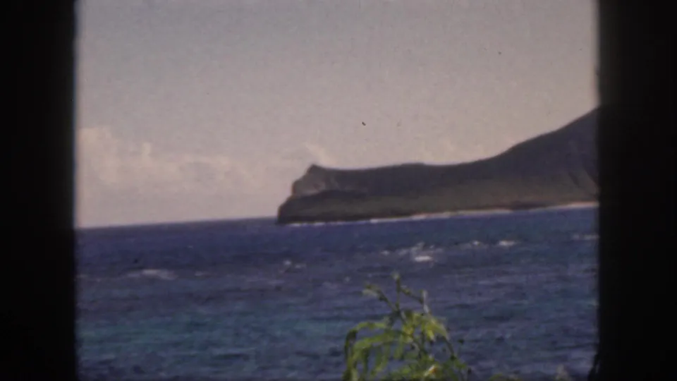 1959 Oahu coastal view with choppy blue water, a green headland on the horizon, hazy sky, and windblown foliage near the lower edge.