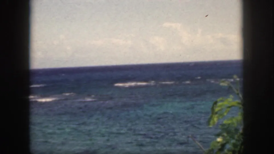 1959 Oahu home-movie view of blue-green surf, distant white wave lines, dark foreground divisions, and small tropical foliage near the bottom edge.