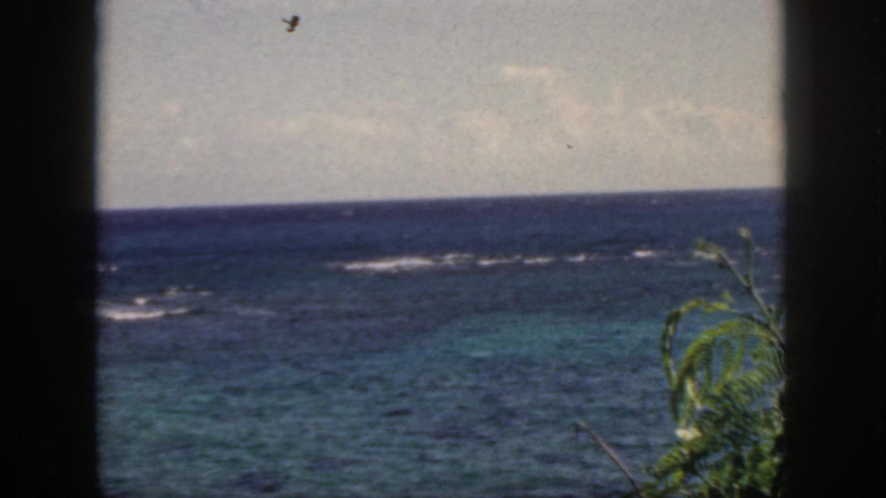 1959 Oahu home-movie frame showing blue Pacific water, pale reef surf, and foreground greenery viewed through a dark window or railing frame.