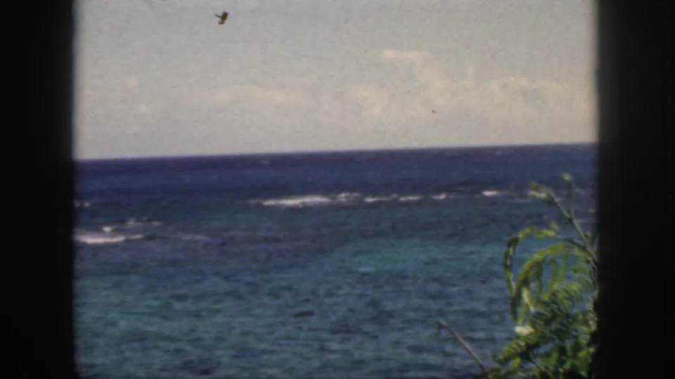 1959 Oahu home-movie frame showing blue Pacific water, pale reef surf, and foreground greenery viewed through a dark window or railing frame.