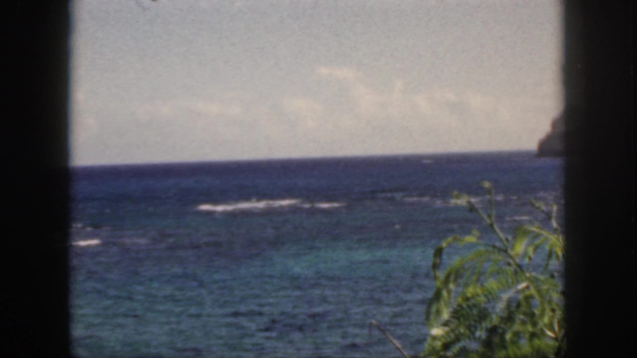 Oahu coastal water appears beyond a dark frame, with turquoise patches, small white reef breaks, and green foliage along the lower right.