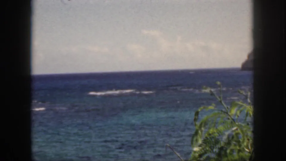 Oahu coastal water appears beyond a dark frame, with turquoise patches, small white reef breaks, and green foliage along the lower right.