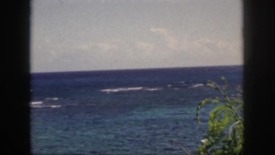 A 1959 Oahu coastal view shows reef-tinted water and light surf beyond a dark frame, with leafy greenery in the foreground.