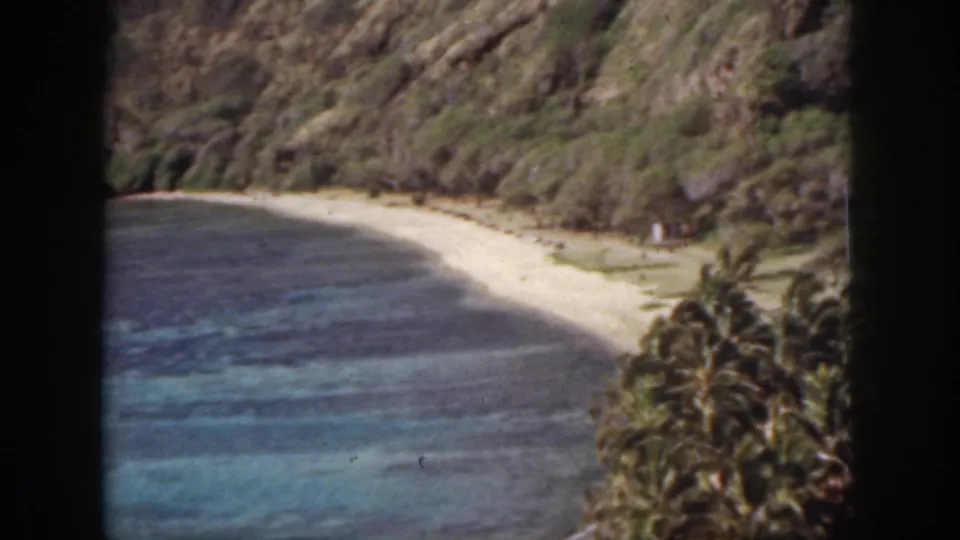 1959 Oahu coastal view with a curved sandy beach, turquoise patches in the water, palms at lower right, and steep terrain behind.