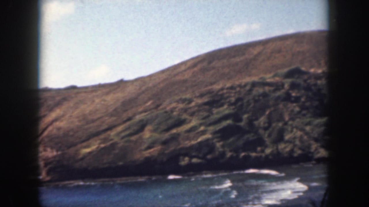 Coastal hillside and dark rocks with waves breaking along the shore.