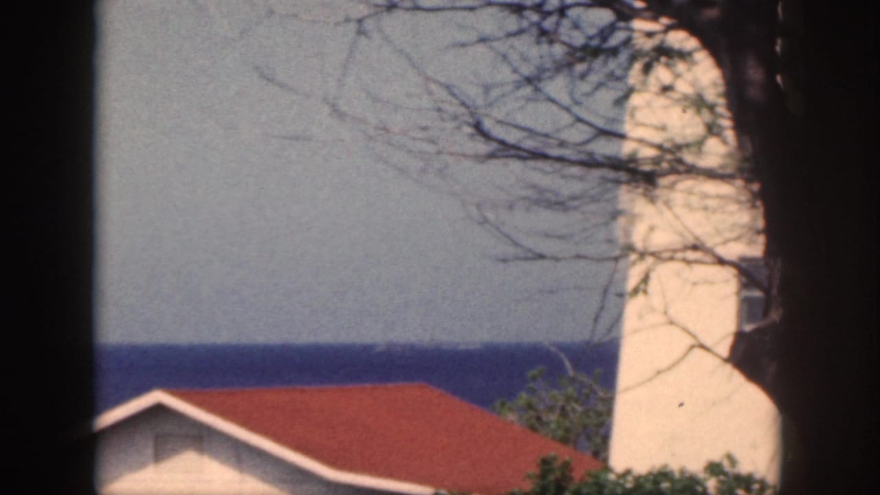 1959 Oahu coastal view with ocean beyond a red-roofed building, a white lighthouse-like tower, and tree branches at the edge.