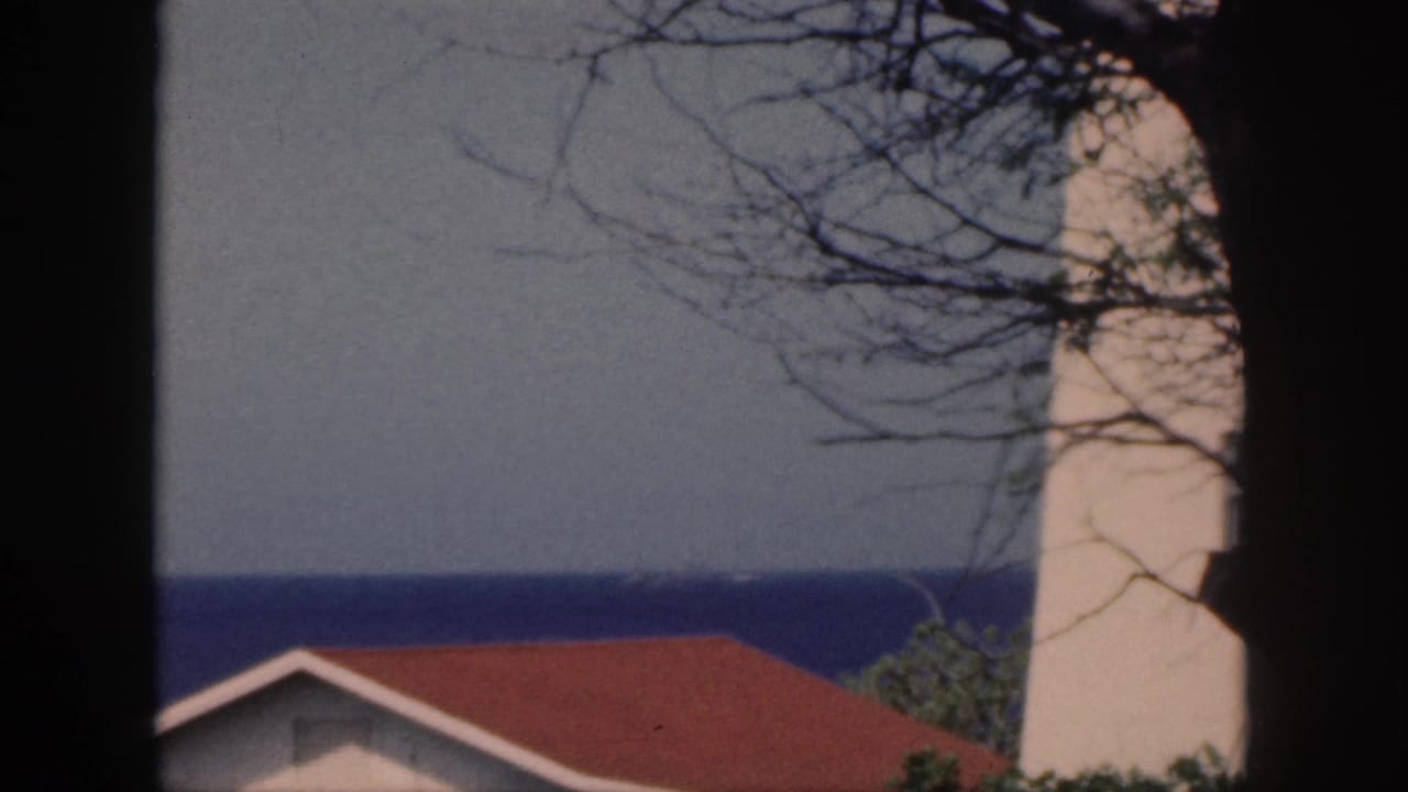 Red-roofed building and pale vertical structure near the ocean, partly obscured by branches.