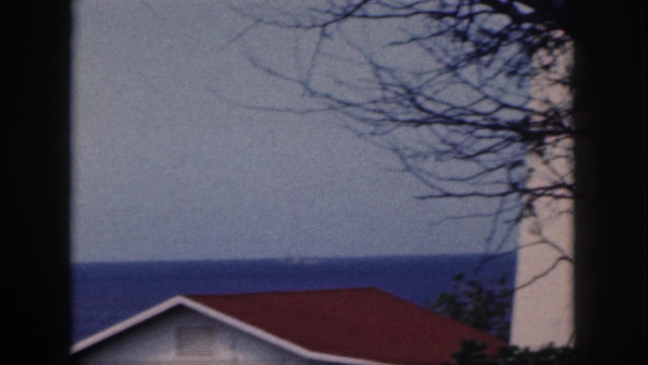 Red roof and ocean horizon seen between dark vertical framing and tree branches.