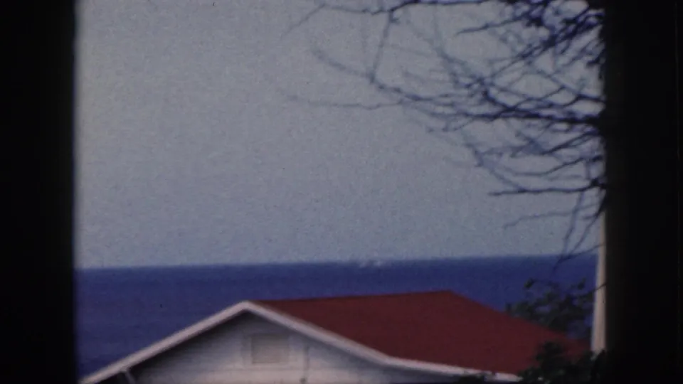 1959 Oahu home-movie frame with dark borders, wind-touched branches, a red roof, and blue sea beyond.