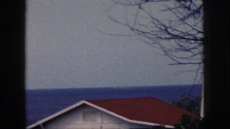 1959 Oahu coastal frame with dark window-like divisions, bare branches, a red roof, and the ocean in the background.