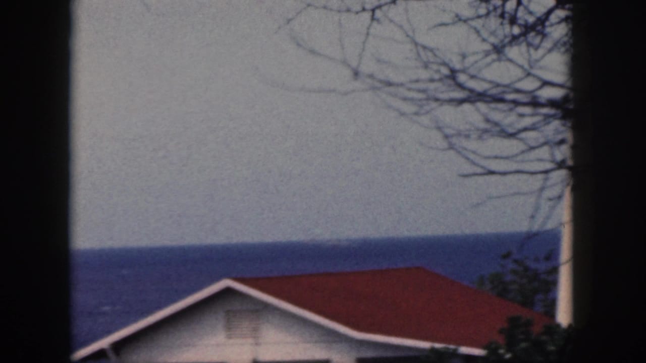 Red-roof cottage and ocean horizon seen through window framing with branches overhead.