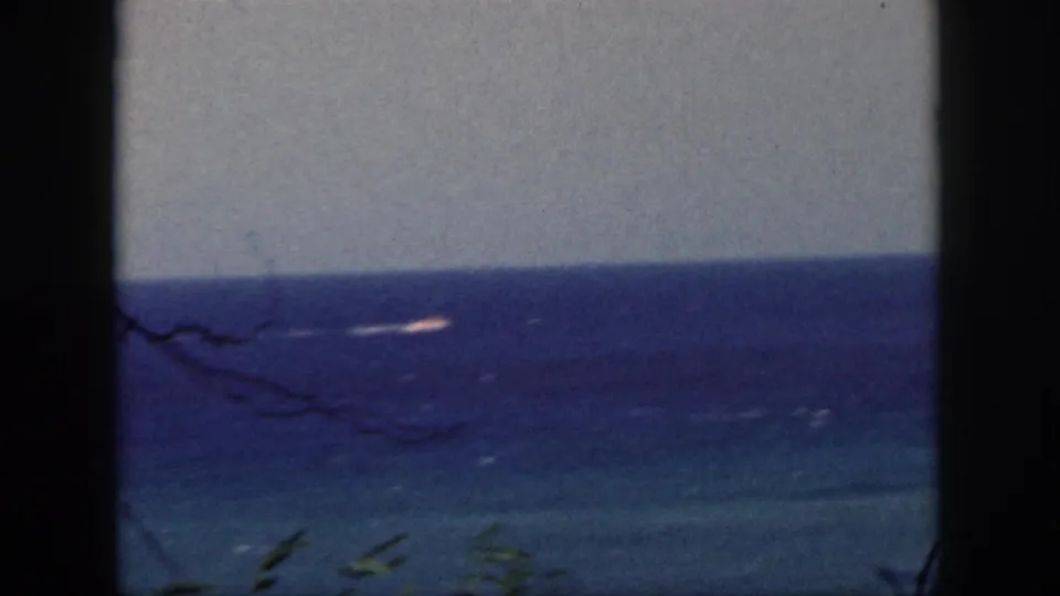 Oahu ocean view through a dark window frame, with branches at left and a small bright boat-like shape on the water.