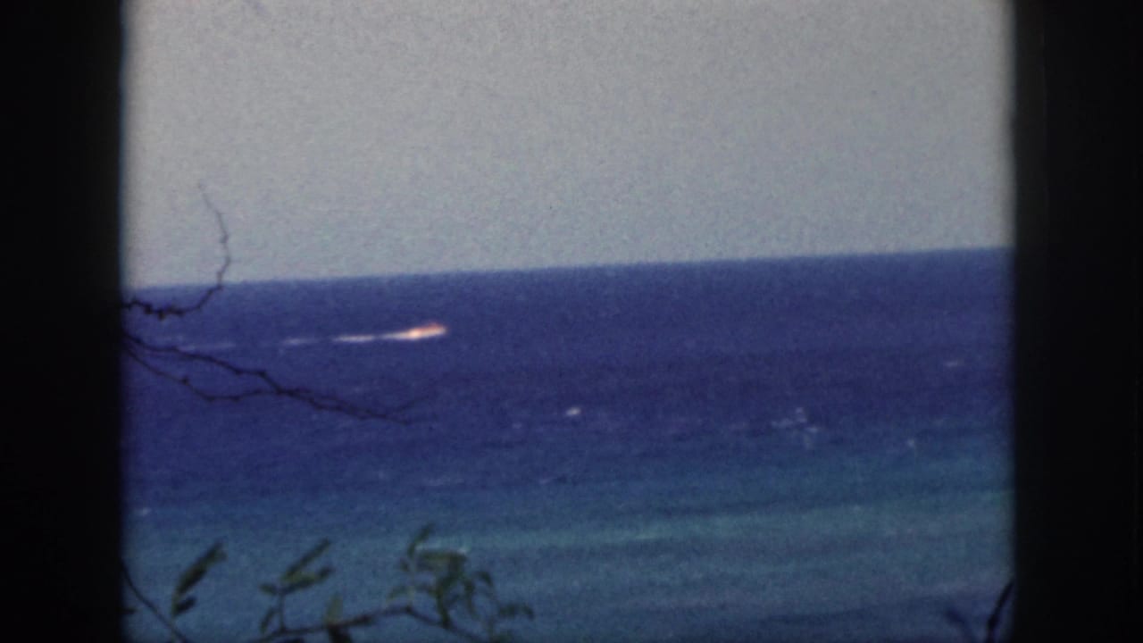Ocean horizon seen through dark vertical framing with branches and a small boat wake in the distance.